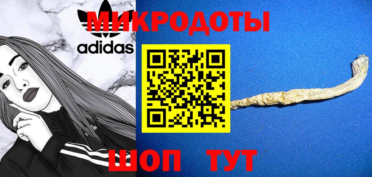 Псилоцибиновые грибы Cubensis  Вход с VPN  Полысаево 